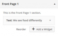 WordPress Theme Customizer Add a Widget
