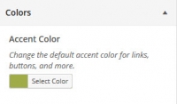 WordPress Theme Customizer Colors