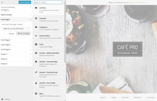 WordPress Theme Customizer Widget List