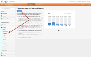 google-demographic-interest-reports-enable