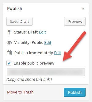 Public Post Preview Settings In the Public Metabox