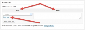 wordpress-3-8-custom-fields